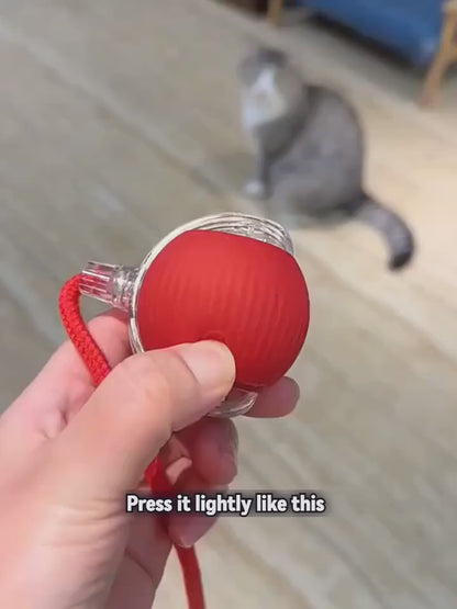 Pets Prime © Interactive Ball Toy