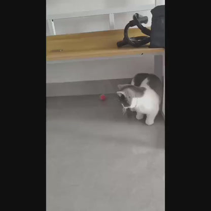 Rainbow Cat Toy Balls